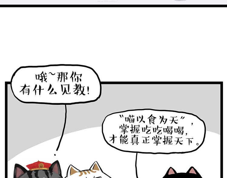 第277话猫斗猫1