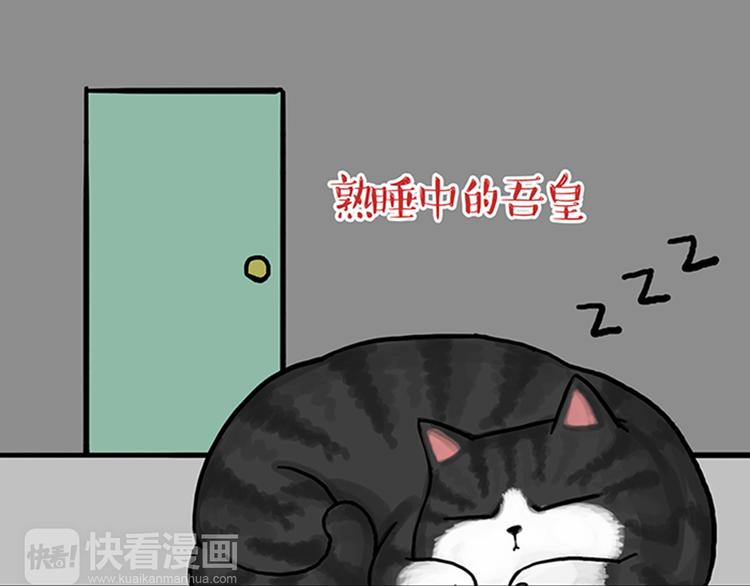 第33话洗猫的少年总是孤独的9