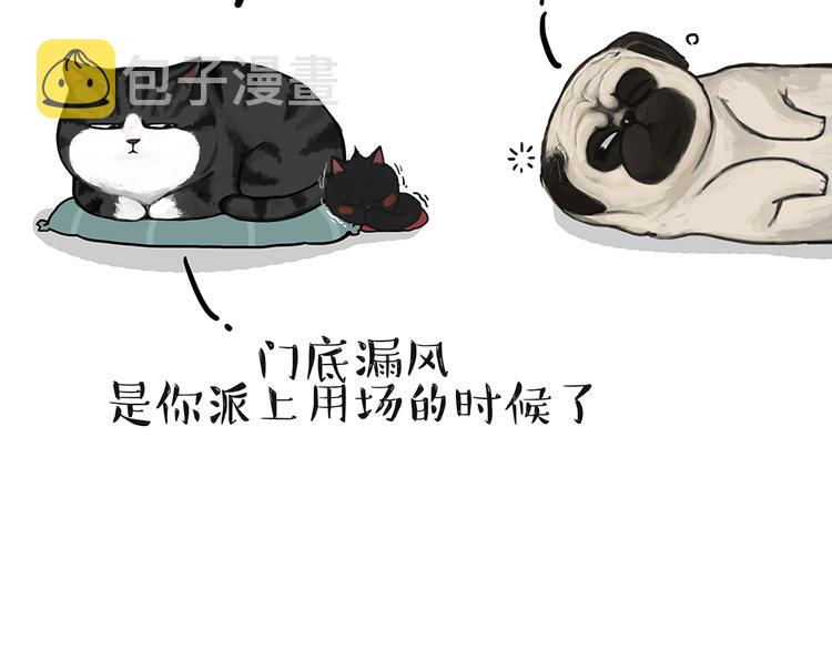 第51话猫和狗的待遇就是不同2