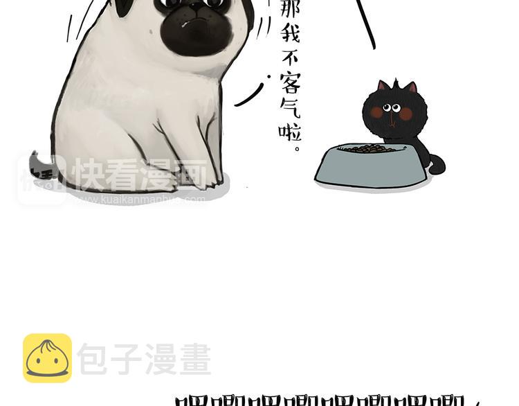 第51话猫和狗的待遇就是不同0