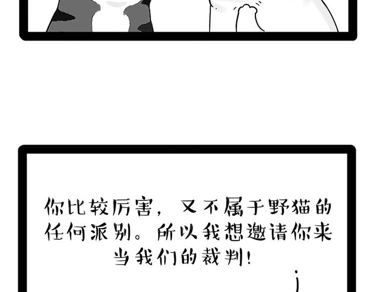 第167话猫王争霸赛0