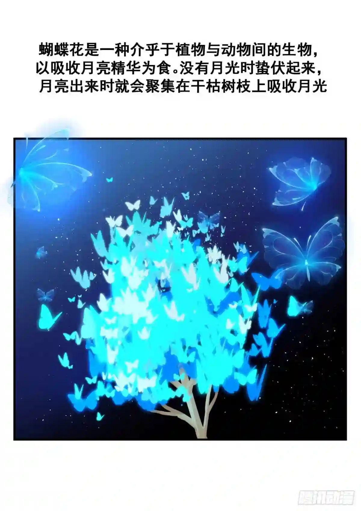 番外篇蝴蝶花3