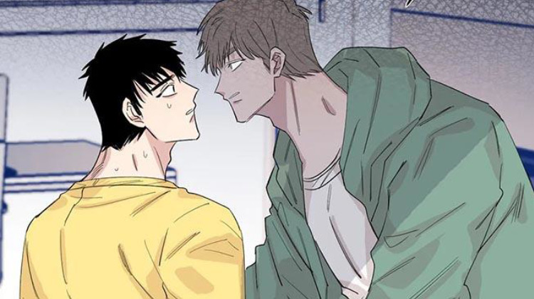 情感窥视_banner