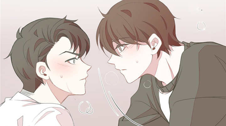 星和东家_banner