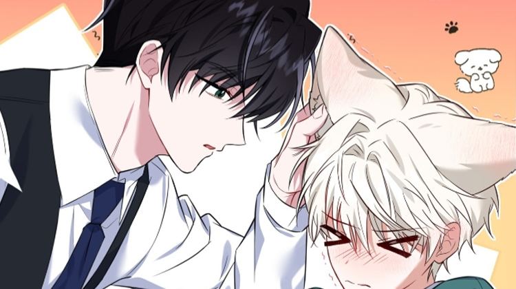 弗林的狐狸饮料_banner