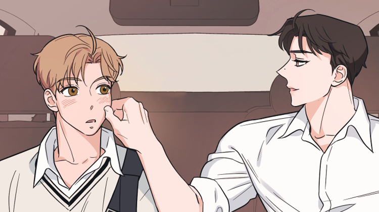 无悔之爱_banner