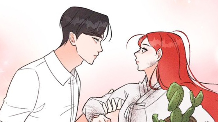 红狐_banner
