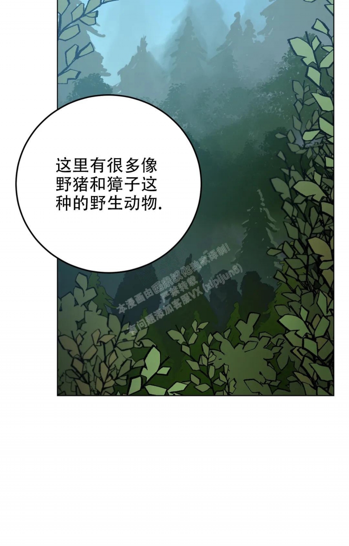 第115话6