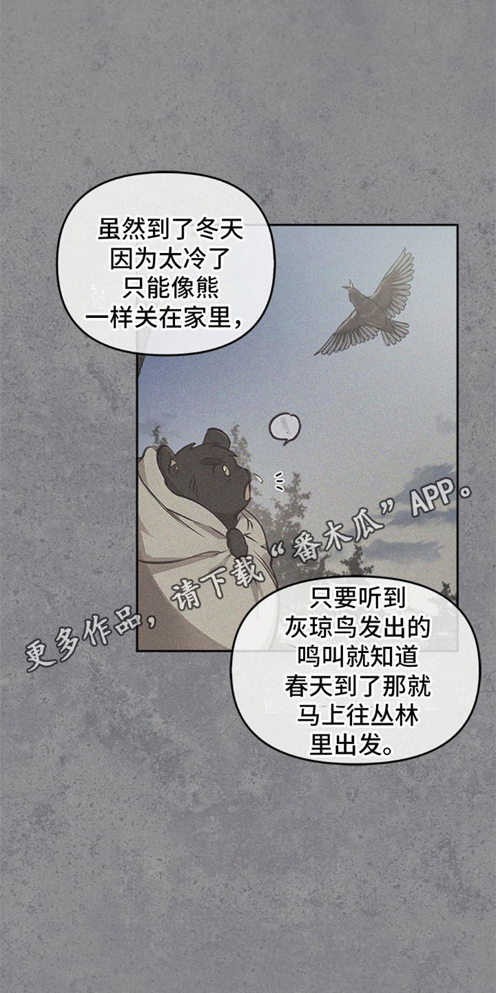 第21章：森林的美好0