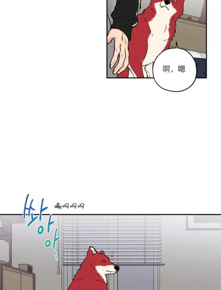 第36话7