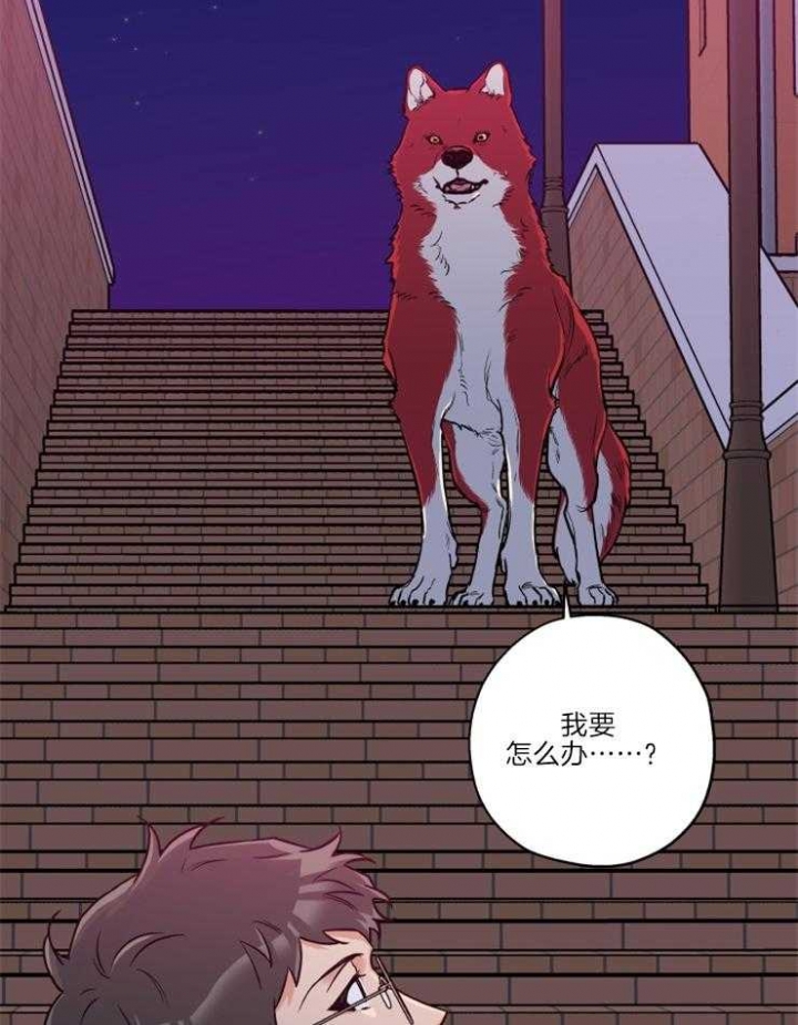 第34话8