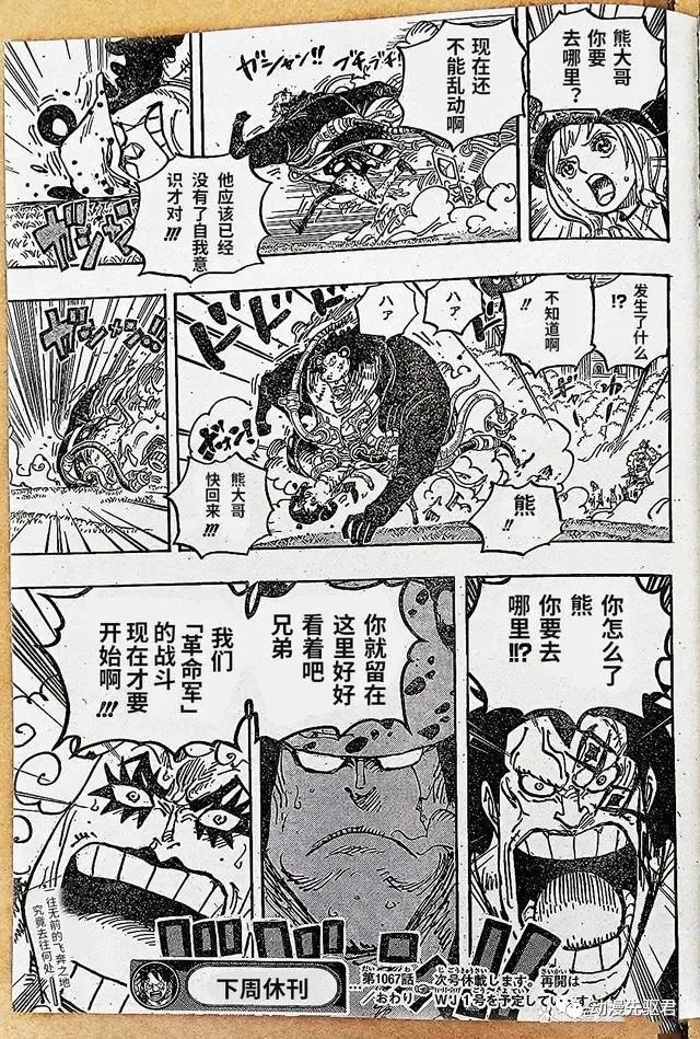 第1067话 野生版4